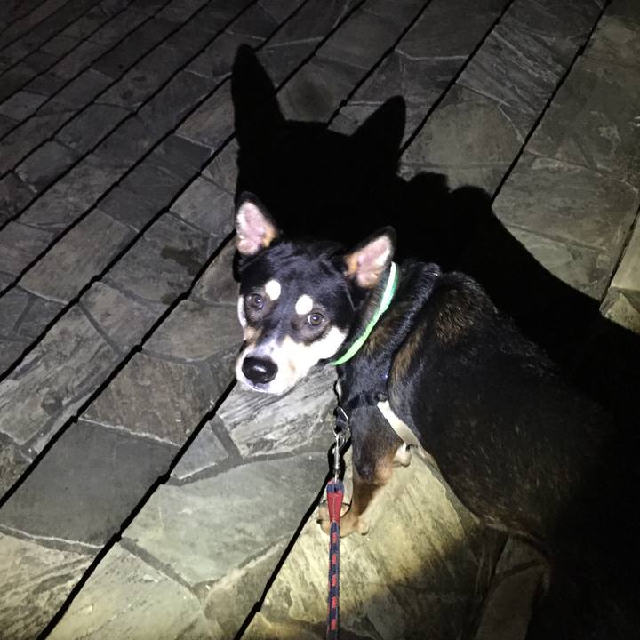 12552bab a90d 4ad6 a421 105cd3add56d 1539867779484