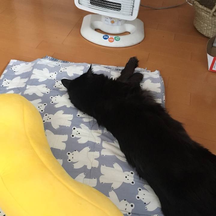 12557042 b4af 4c23 8d32 13c275c66ee2 1520560907455