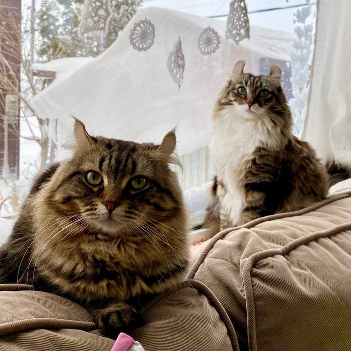 1255f451 1a55 46a4 ac16 844833234907 1641311532513