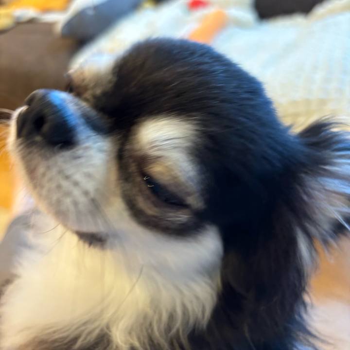 12560d26 cb58 4869 93d6 278ba5d671b1 1723911597176