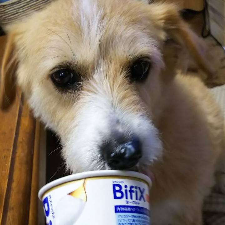 125646a8 f86b 4131 8fb6 5d72e05242e6 1556669768109