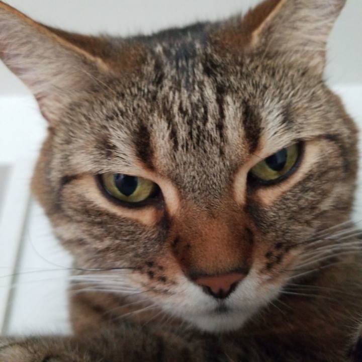 12565554 f320 455b a68f 2ae12868f24d 1588978303796