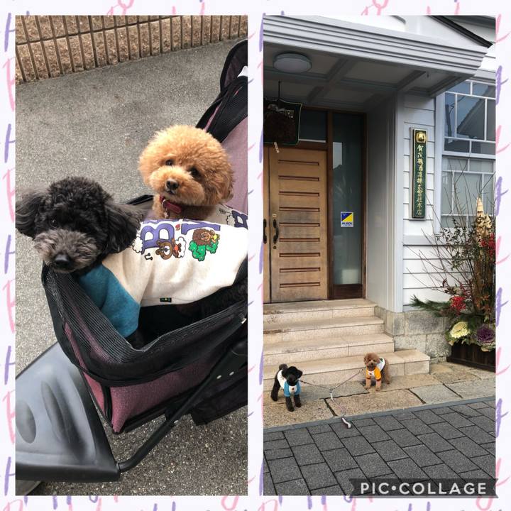 12567477 5b39 4755 836e 05b47f38d9e4 1609399813349