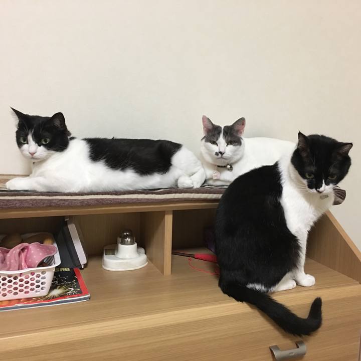 1256c632 5a7b 487b a46a a762a17a3bca 1520561852057