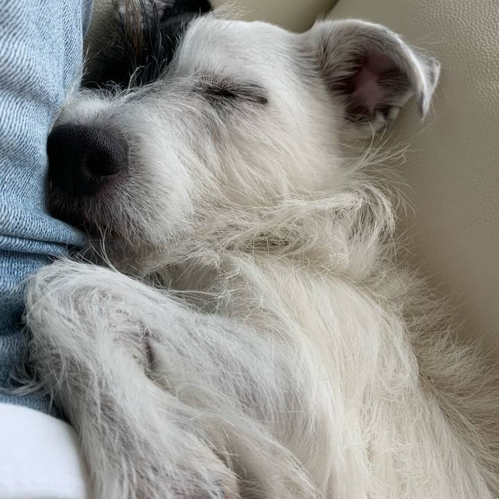 1256d102 f335 433a 8eab 8a7f167d64a3 1570767255294