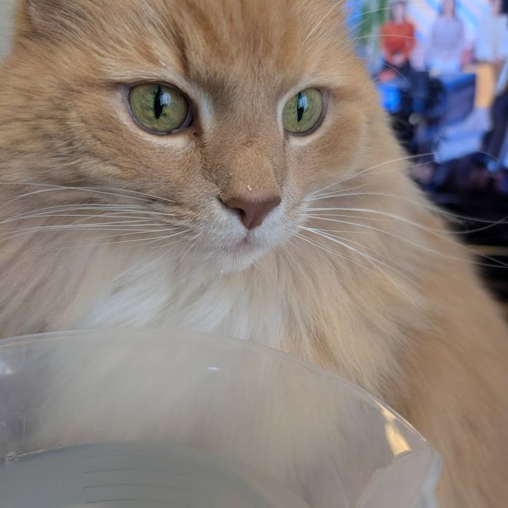 1256dd1b 4abd 4276 be03 8b2664ca1fb1 1766973022486