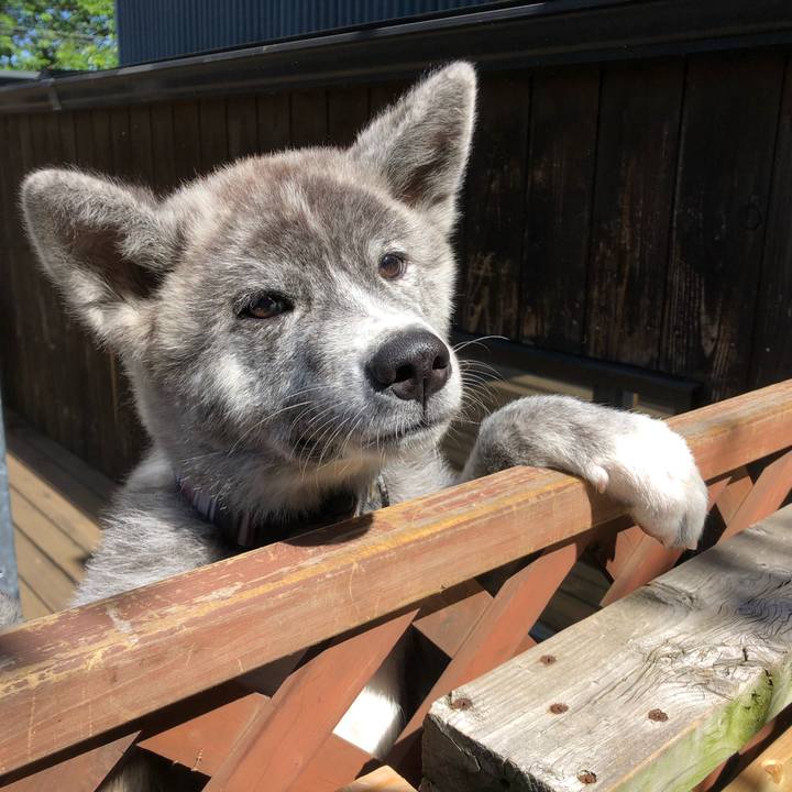 12571628 08f7 4f58 bf1d 59a27f47f96d 1559180411691