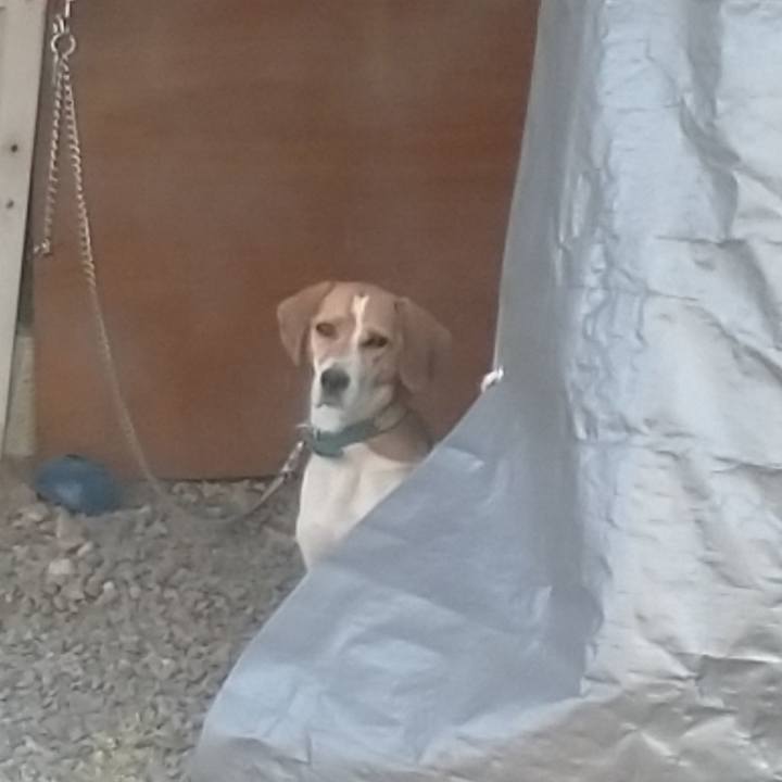 12571a40 62c1 4812 8082 80939e5aaf66 1604228074859