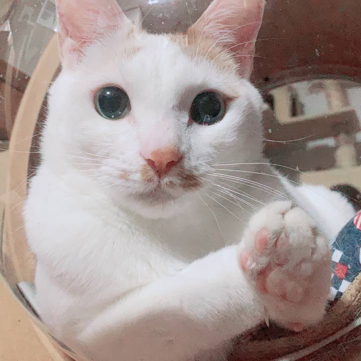 1257216a d18d 4e4a a2c8 d5c1d49880e5 1615473416275