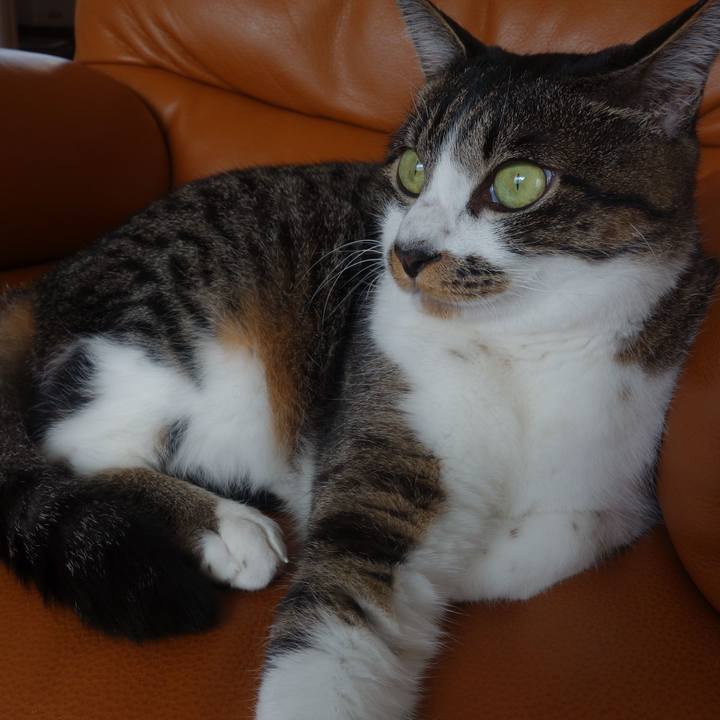 12573fd2 8194 42dc a8c2 3dfbdbbdb7fc 1760161093077