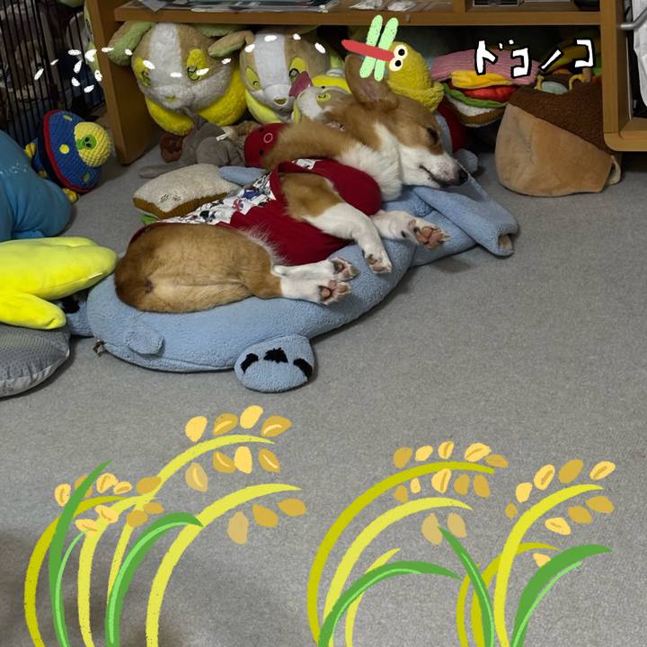 1257d61e d609 4c46 aa4b dd82c2231ba9 1761150545190