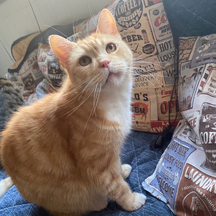 1257dbeb b063 4009 90a0 bfcfed7fe412 1585814987348