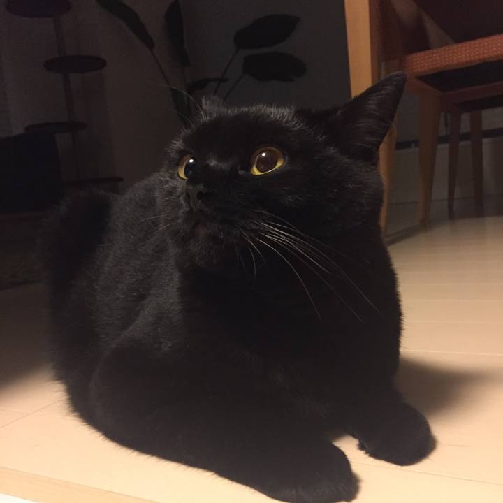 1257ee98 8f49 433d a26b bc24393bdd31 1532609996811