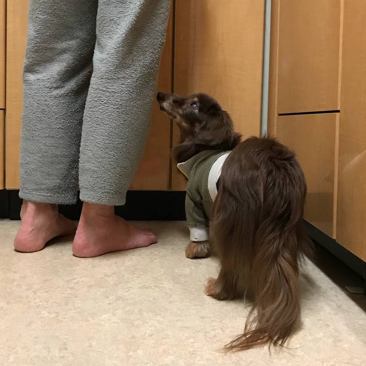 1257fa93 60e4 4730 bb92 91a0369953dd 1524145724928