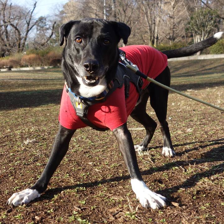 12581db5 1ebd 4660 b60c c190833743eb 1646441524827