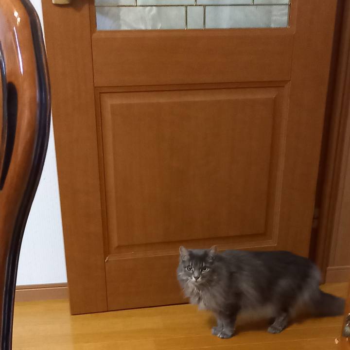 125835ef d883 4cab ac7d 4504deef4fdf 1651014679896