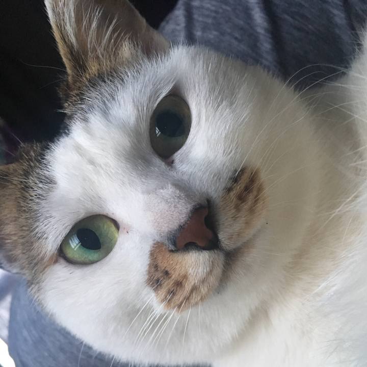 12584405 1b94 469b 9127 d99e98874b4a 1552722480942