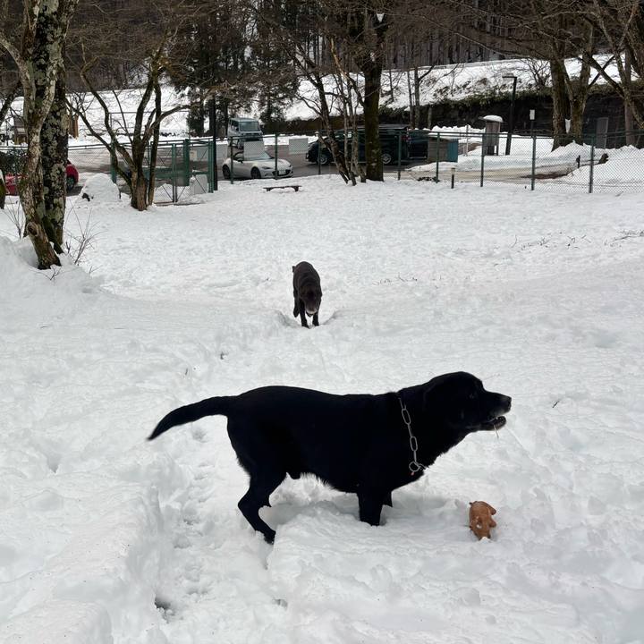 12585693 0828 4ff6 b923 27662da2fdd6 1766315623704