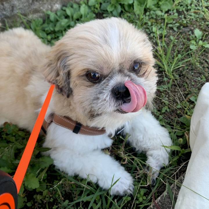 12589202 93b0 4d17 8828 cf53079d2a3f 1760698831034