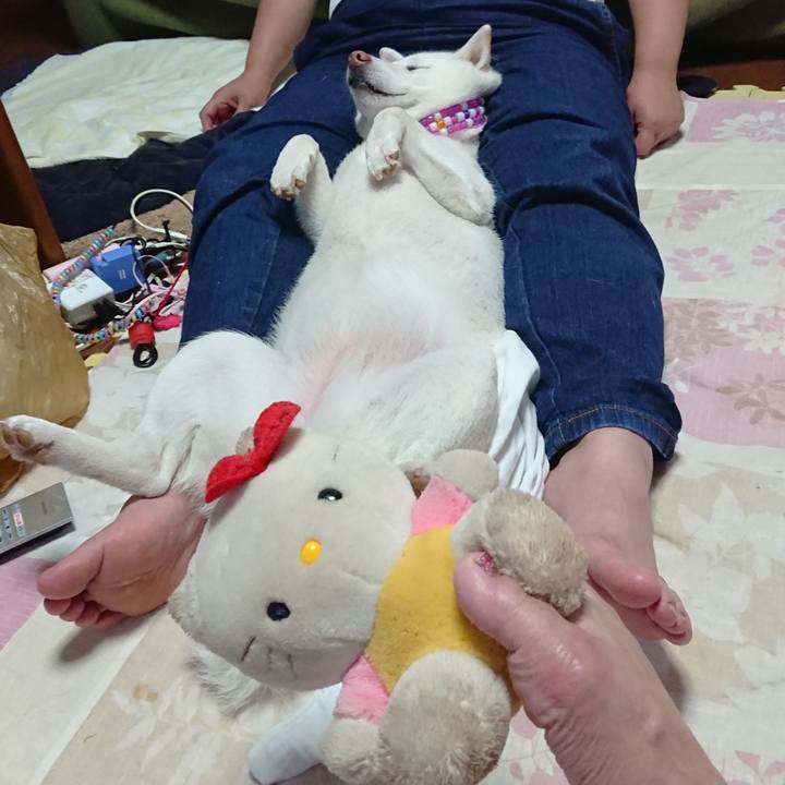 1258e2c6 462d 420a 8a6f bc0ae4b216ab 1562492185375