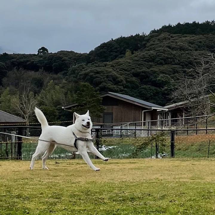 1258edc3 add7 4dc0 9f99 926bcc8d726c 1611456199877