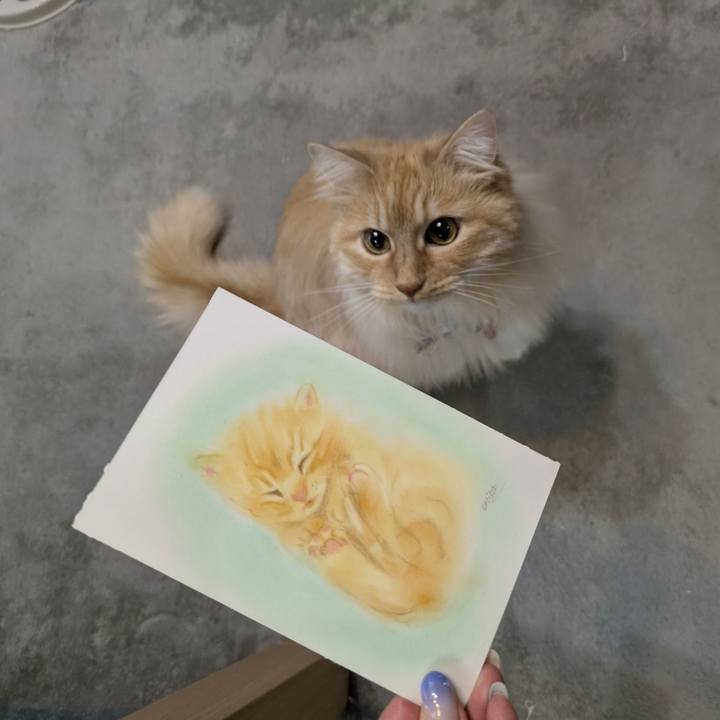 1258f429 2de1 432f b8a4 c67cfadc601e 1748684021565