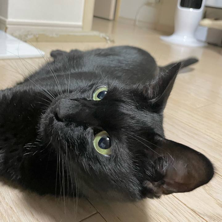 1258f69f cf96 47d5 a0fd 293389f0dfaa 1691839416483