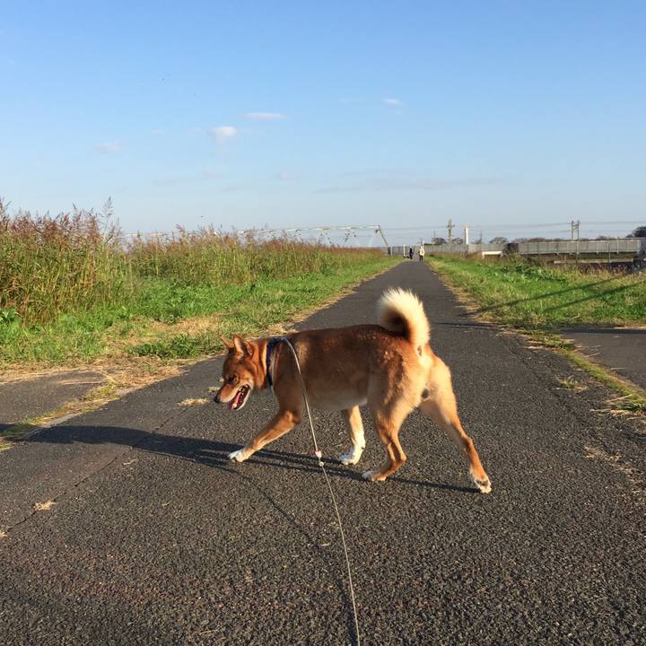 12591480 ff36 4c69 8ccb 4a6d8d72b46c 1541890761767