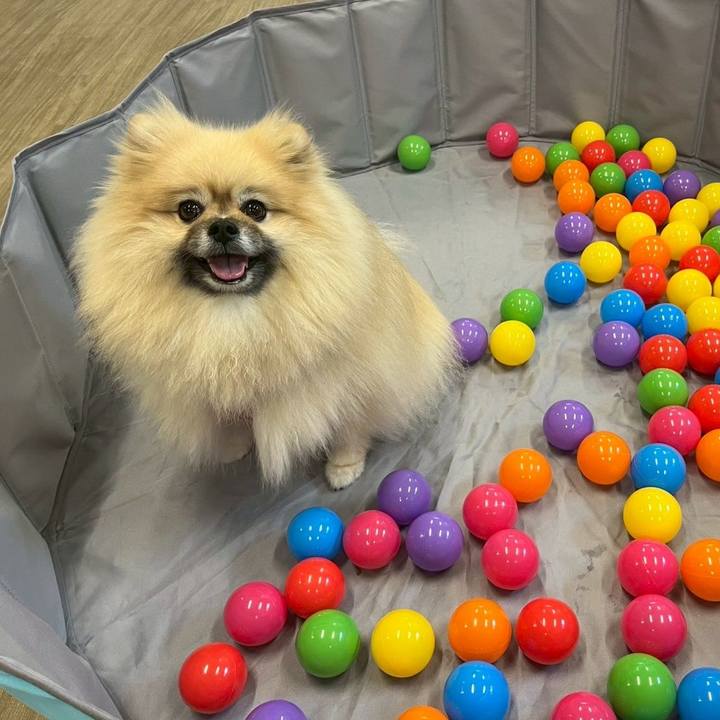 1259343f 892b 4ecc b9a8 5eba7aa160d8 1758774776385