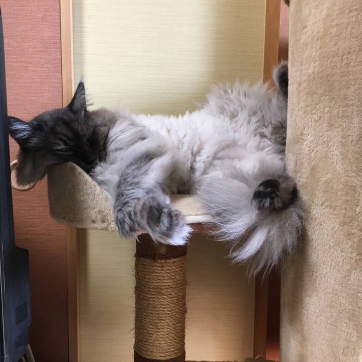 12596b8e db7f 4d3d a888 ab6e82b94dcf 1551570050723