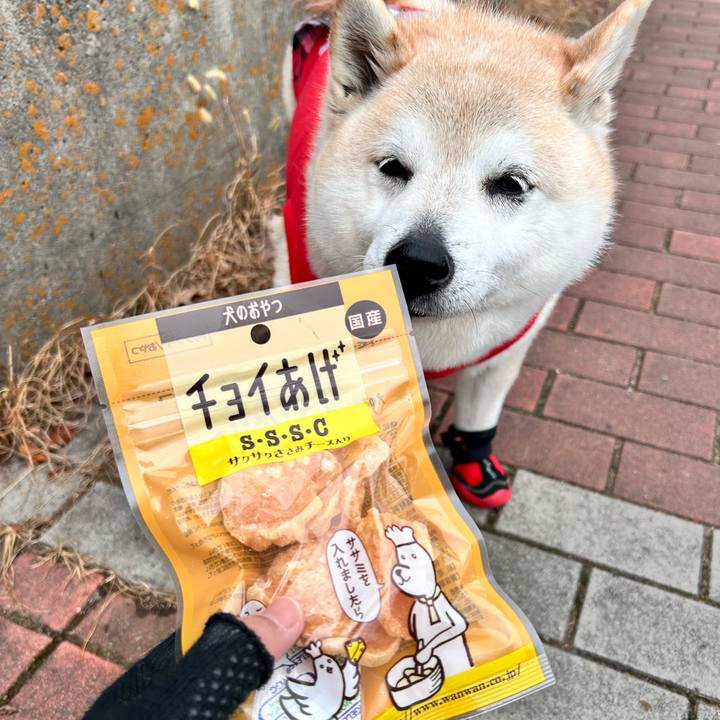 1259c442 639f 407d 90bc f4e8bf93f565 1741419573058