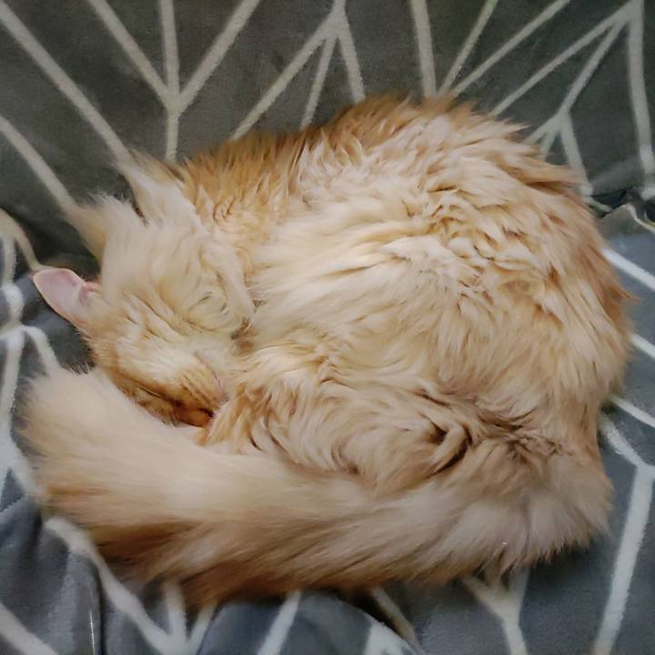 125a1eae 4d76 4708 9a29 e98434c4f0d9 1708088444064