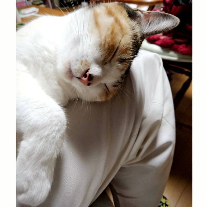 125a4151 b026 48b0 9464 5bd002741a7f 1561719402434