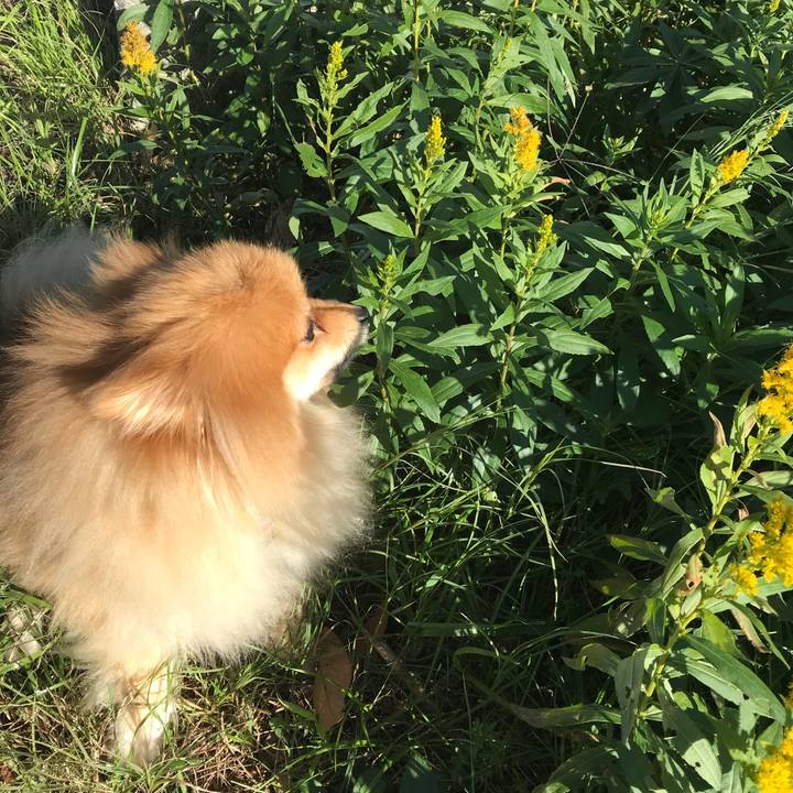 125a60dc 63c6 4d19 a0b5 a7e22c82d48e 1544840539267