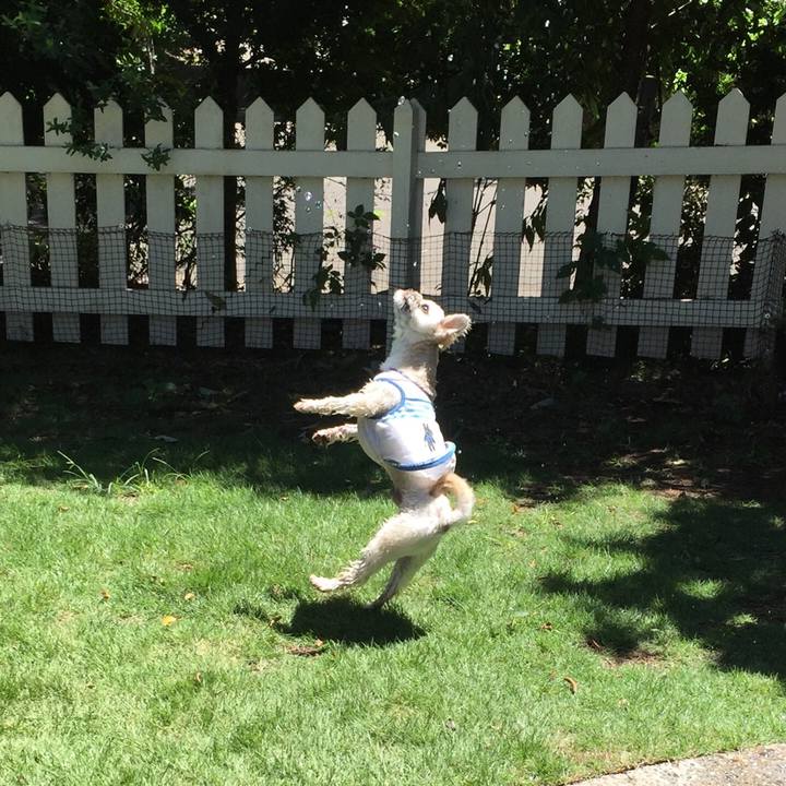 125a7363 028c 4658 b6ca 023ec699b0d7 1534500961227