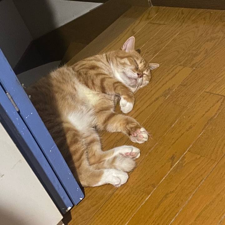 125a98e7 87b0 45ff ae9c 98a5875cfd0e 1693255930342