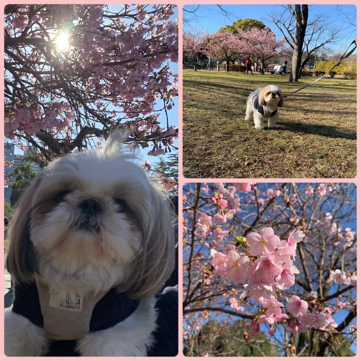 125ab9e4 7fd2 4554 b653 dc84732c574a 1707566418719