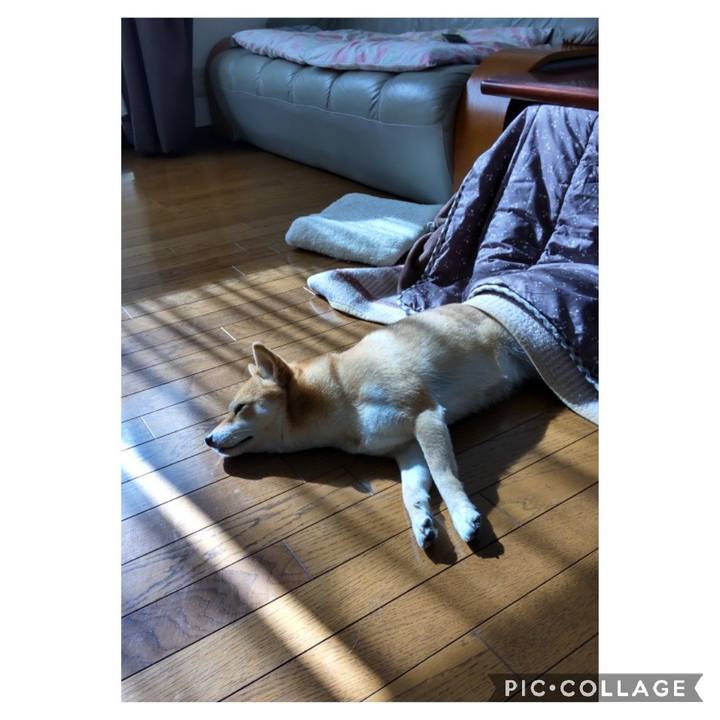 125ac47d 8c1e 45f5 85a1 998981f45f12 1668912806628