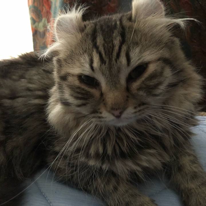 125aea9c 729e 4fba a549 83b462b97e23 1535677124373