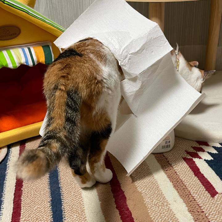 125af250 4725 40dd a7b9 9d1f84f06303 1635896200087