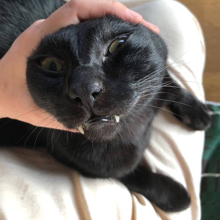 125b3ba1 10bf 48a4 9e58 f054e6ddcf49 1696801209607