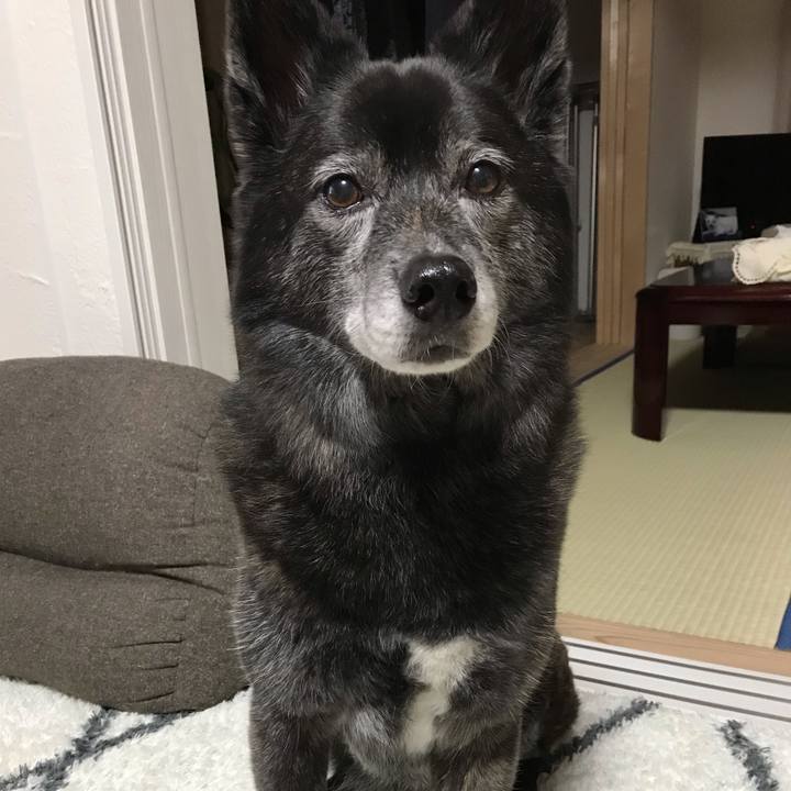 125b4fba 448f 47ff 85ba cf71e9c993c9 1580821105176