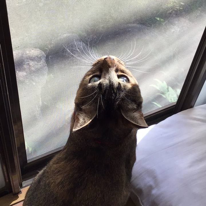 125ba406 3b30 404a ad2d efc4484882bc 1605403334138