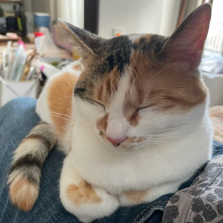 125bf09a 0360 4b9e 8f32 a93b6043273a 1621068404415