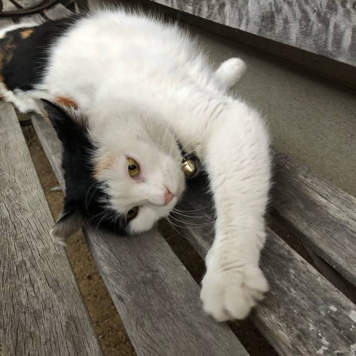 125bf216 48e5 498c 9265 1838756cb611 1612304694312