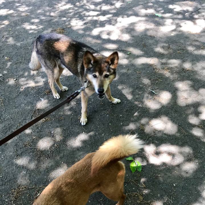 125c23ac ac6b 4a7c 81d7 e0ca9144da6c 1524882814333