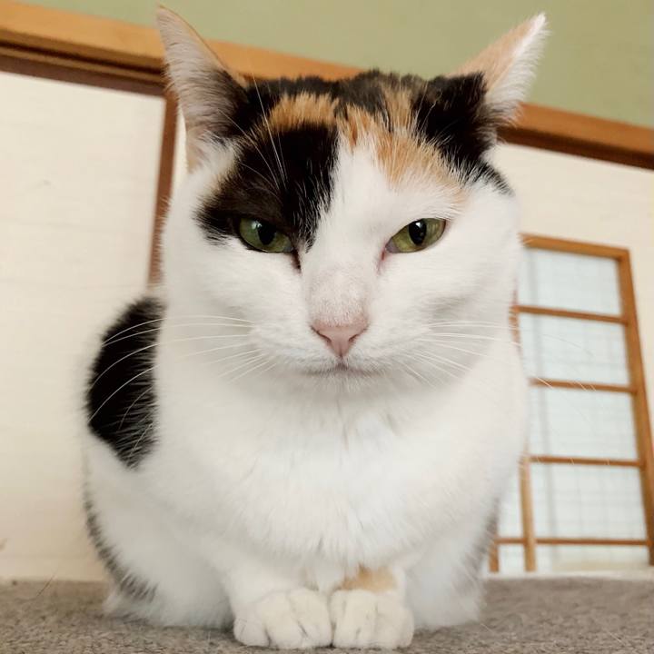 125c4d72 1b47 4b62 a0b6 c9f48aa681e5 1551752475693