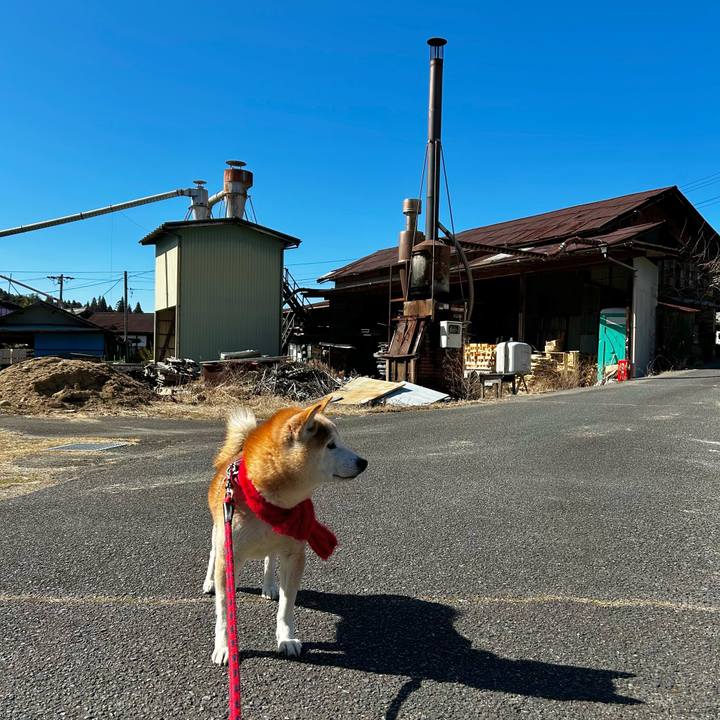 125c650a 11f3 4246 800a 7e01454f32ba 1771495941353