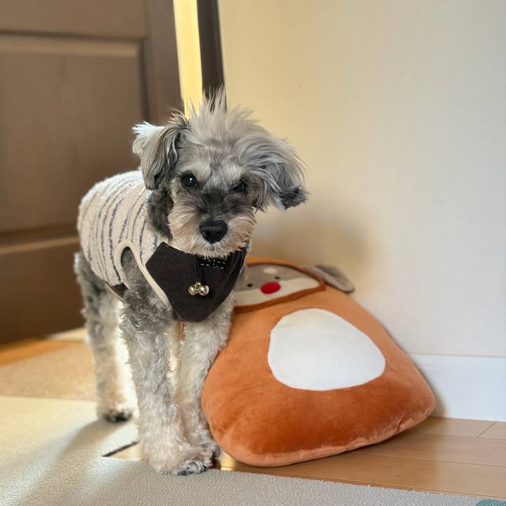 125c7d89 6ab6 45d6 aca6 f19ea8dbbcae 1774007391349