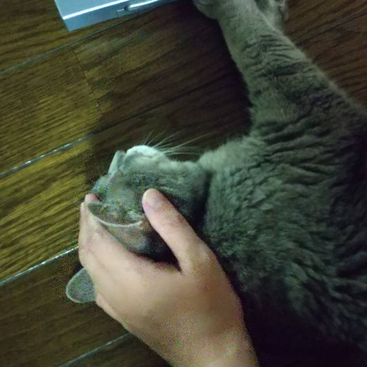 125c820f df0c 43ad a372 58b9b9c8bc4f 1663073787249